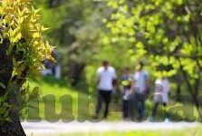 成人高考数学教学视频-成人高考，数学教学的视频新篇章