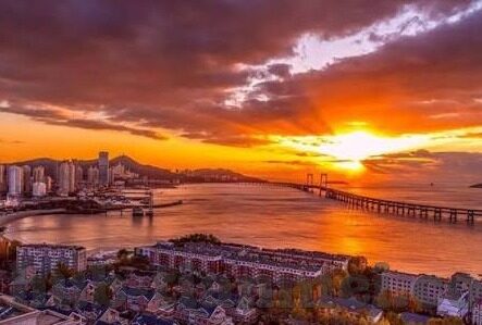 成人高清视频免费观看-成人高清视频免费观看，理性审视与安全使用